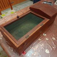 Terrario per tartarughe