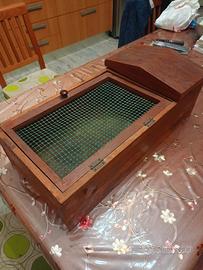 Terrario per tartarughe