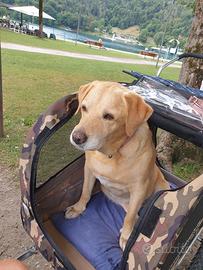 RIMORCHIO BICI E PASSEGGINO PER CANI 