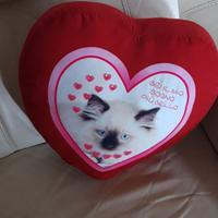 cuscino a cuore gattino 