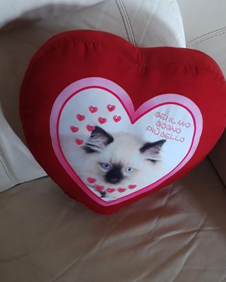 cuscino a cuore gattino 