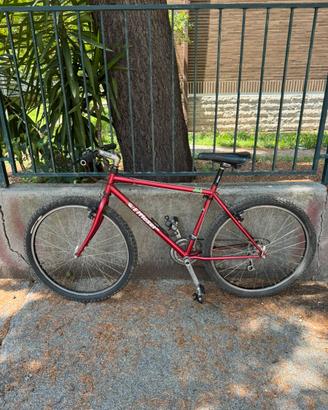 Bici da Corsa F. Moser con Cambio Shimano