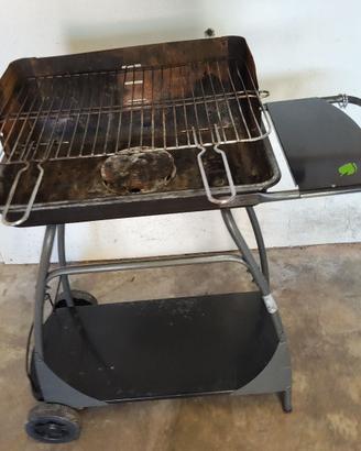 Griglia legna o carbonella.