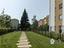 Immagine 21