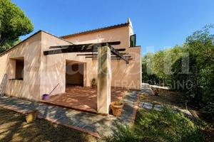 Casa Indipendente Campo nell'Elba