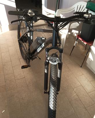 bicicletta elettrica e-bike 