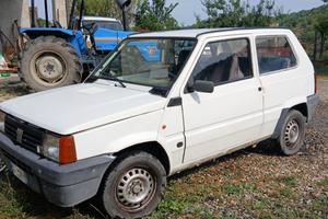 Panda 2002