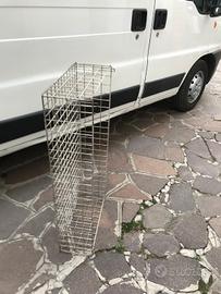 Ceste colorate bianco