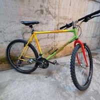 Mountain bike ruote da 26 usato