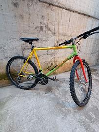 Mountain bike ruote da 26 usato