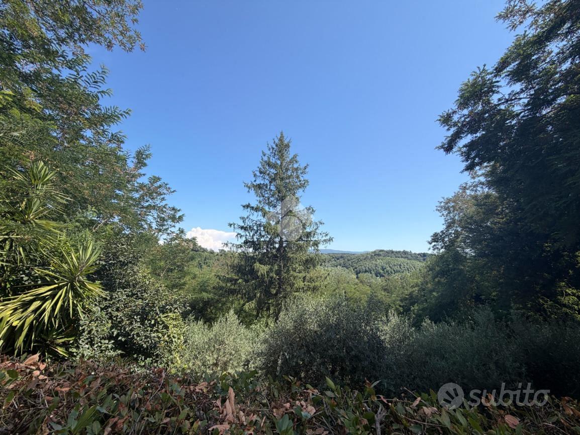 TER. AGRICOLO A CRESPINA LORENZANA - Vista 2
