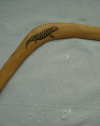boomerang Laddie Timbery Australia