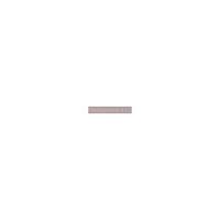 DJI Flip Fly More Combo (DJI RC 2) - NUOVO