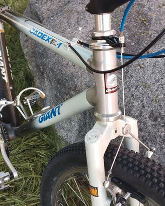 Bici Giant CADEX