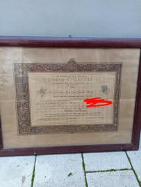 Attestato di laurea Vittorio Emanuele