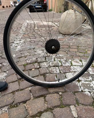 Ruote bicicletta