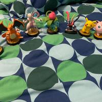 Collezione Pokemon Amiibo Super Smash Bross