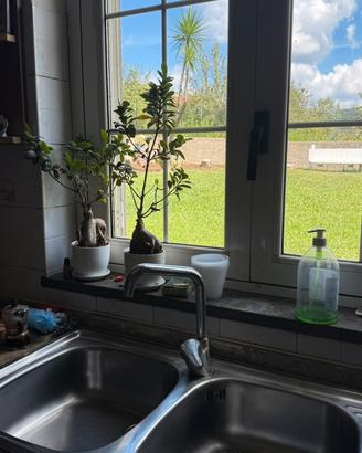 Lavabo con gocciolaio + piano cottura a gas