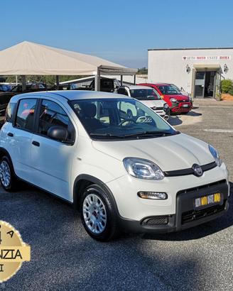 FIAT Panda 1.0 FireFly S&S Hybrid PROMO WEB