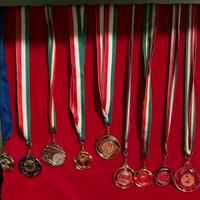 Lotto medaglie premiazioni sportive