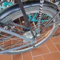 Bicicletta elettrica