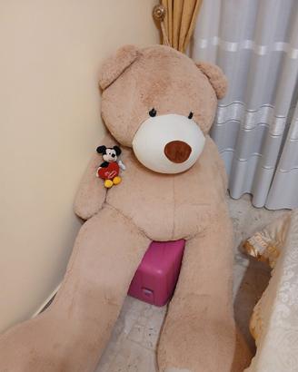 Peluche 