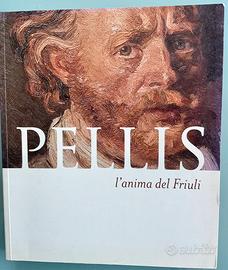 L’anima del Friuli  - Pelllis -