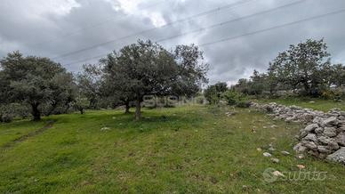Terreno Agricolo - Sortino
