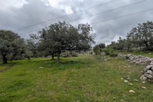Terreno Agricolo - Sortino