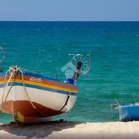 TER. AGRICOLO A NICOTERA