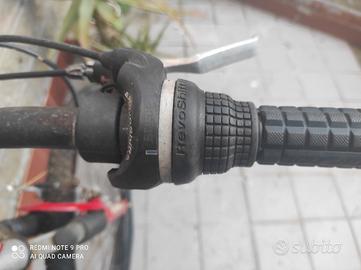 bicicletta
