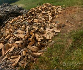 Legna da ardere secca 