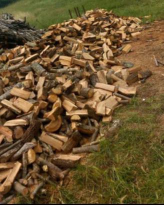 Legna da ardere secca 