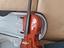 Immagine 4