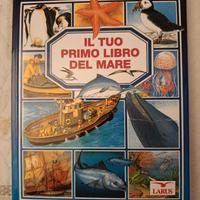 Lotto libri educativi per bambini