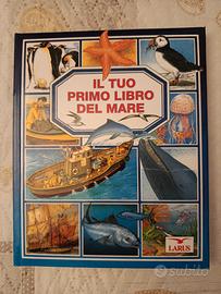 Lotto libri educativi per bambini