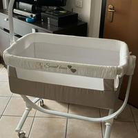 Next to me Sweet Bear