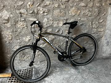 Bicicletta Olympia