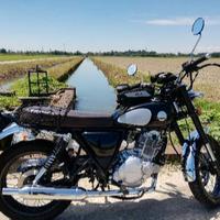 Mash Two Fifty 250 - 2015