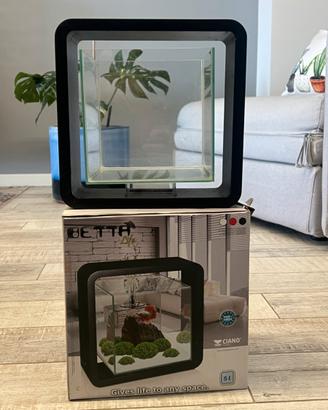 Mini acquario