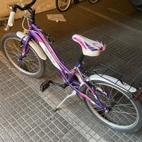 Coppia di biciclette per bambine (4+ anni)