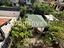 Immagine 26