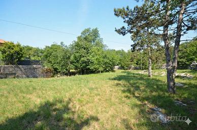 Sul Carso: Terreno Edificabile Soleggiato