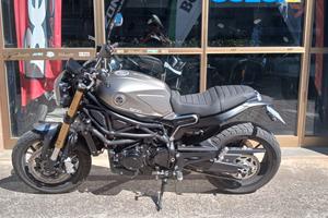 BENELLI LEONCINO 800