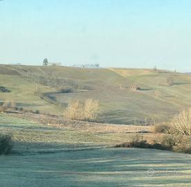 Terreni agricoli in corpo unico Colli Tortonesi