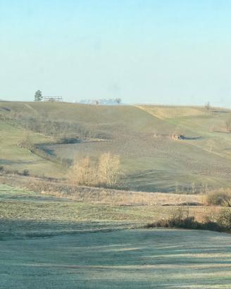 Terreni agricoli in corpo unico Colli Tortonesi
