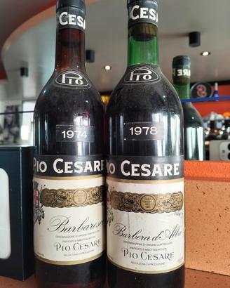 il vino pio Cesare 
