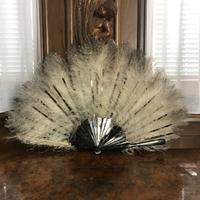 Antico ventaglio in piume di struzzo e tartaruga