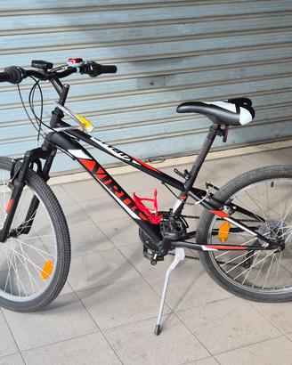 Mtb Virus