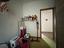 Immagine 13